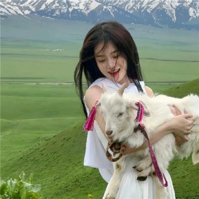 莫斯科郊外的晚上